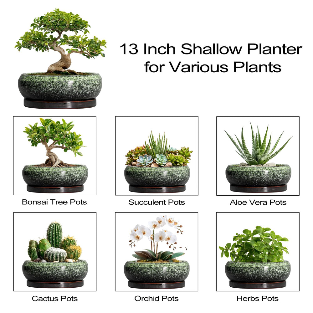 EPFamily lifestyle window sill display enhances room decor with live plants