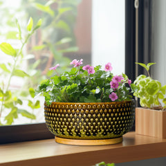 EPFamily saucer under pot capturing excess water to protect surfaces