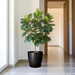 EPFamily close-up of fluted glaze texture highlighting aesthetic and durability benefit