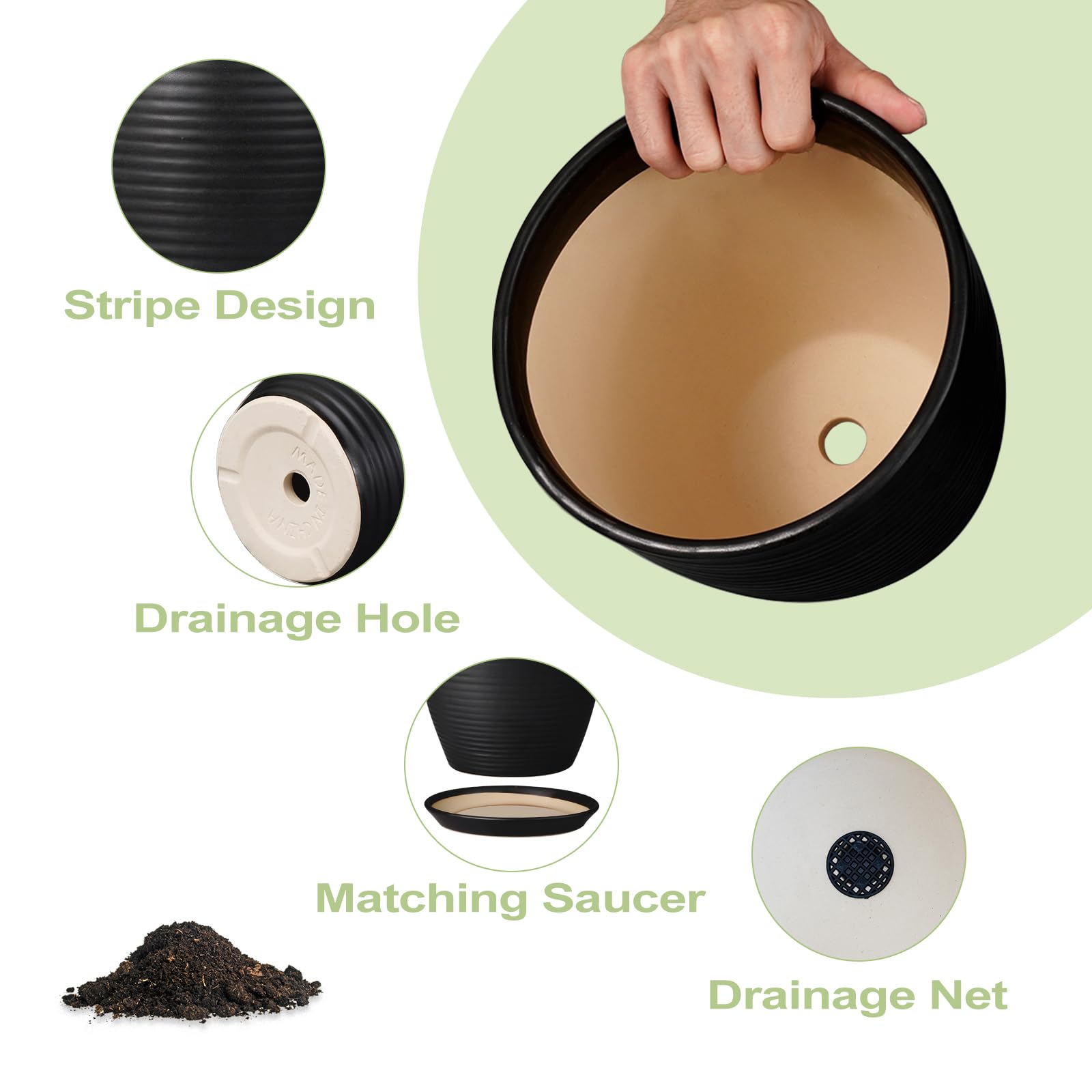 EPFamily pot beside chair showing 12-inch scale for plant planning benefit