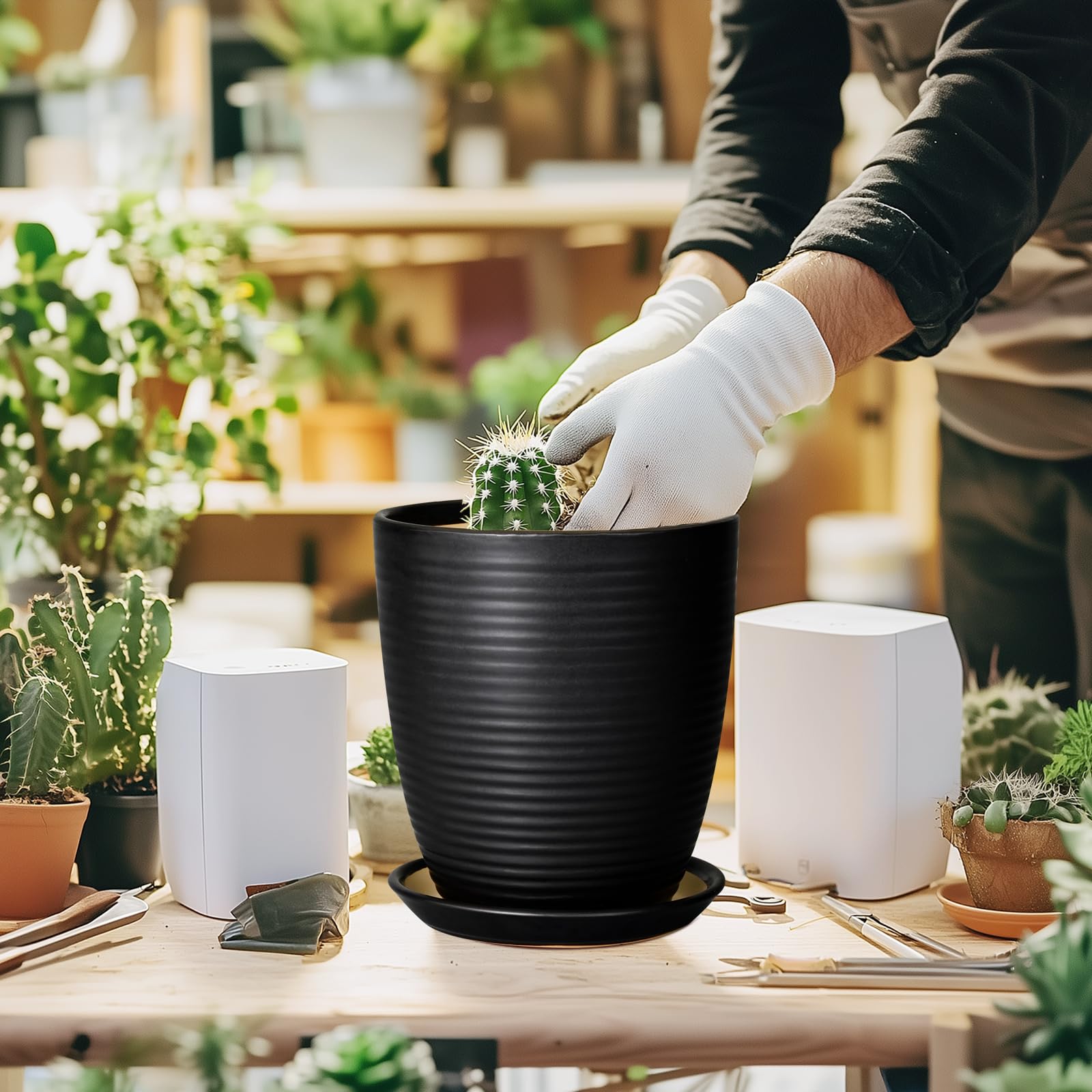 EPFamily planter staged with monstera in living room for aesthetic impact
