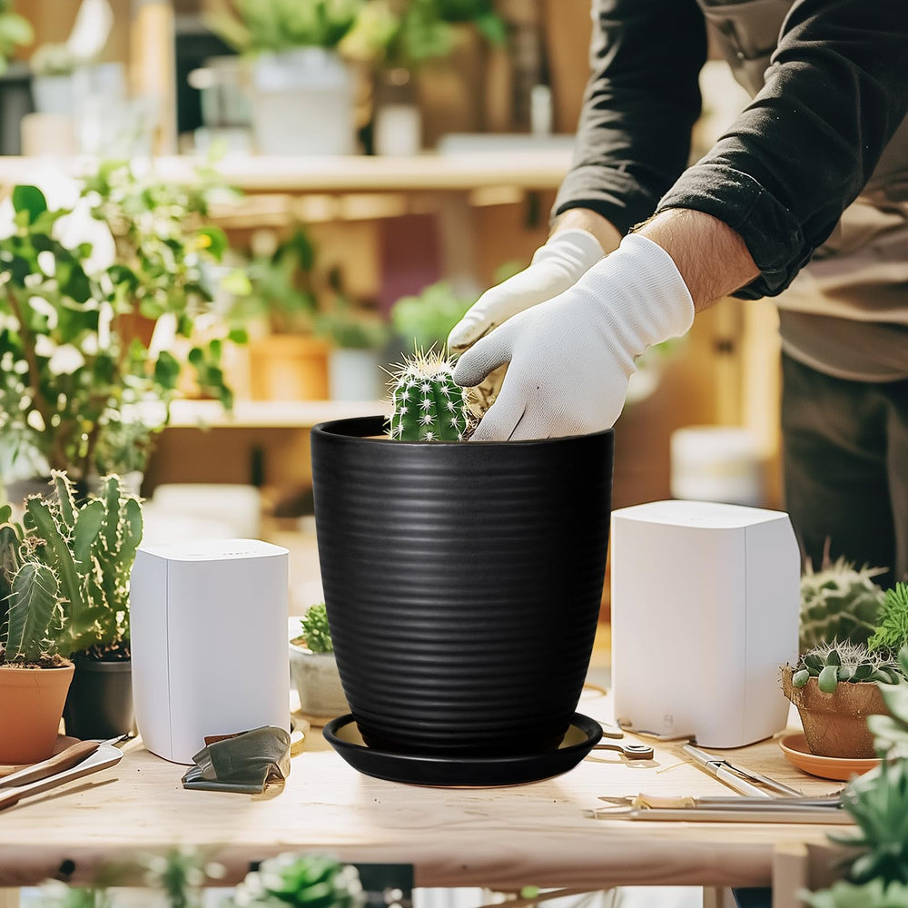 EPFamily planter staged with monstera in living room for aesthetic impact