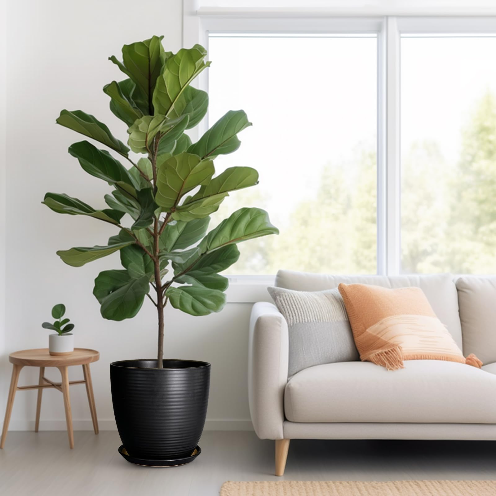 EPFamily planter staged with monstera showing decorative indoor styling benefit