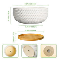 EPFamily bottom view showing drainage hole and saucer to protect furniture from water