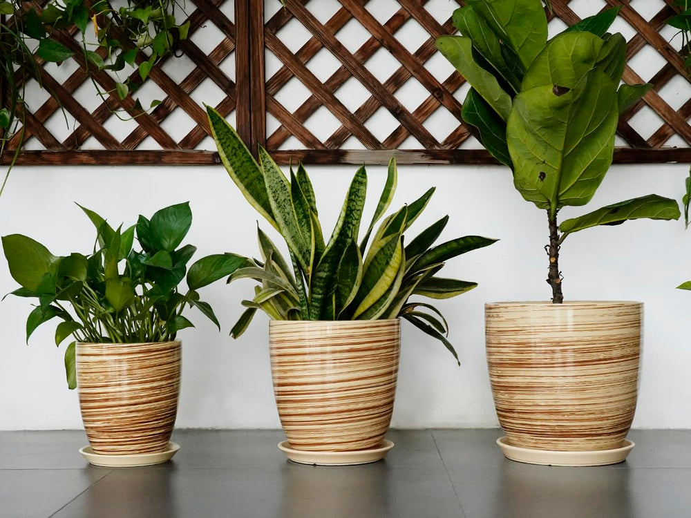 EPFamily pots grouped on patio, creates cohesive outdoor styling benefit