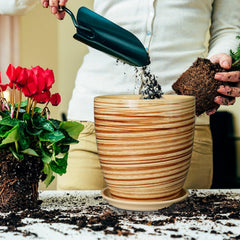 EPFamily pot with saucer and drainage net displayed, includes accessories benefit
