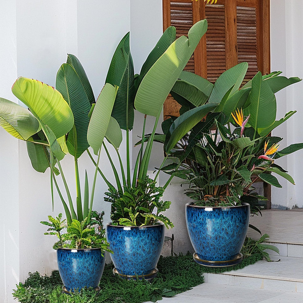 EPFamily large pot with Monstera plant, supports larger houseplants effectively