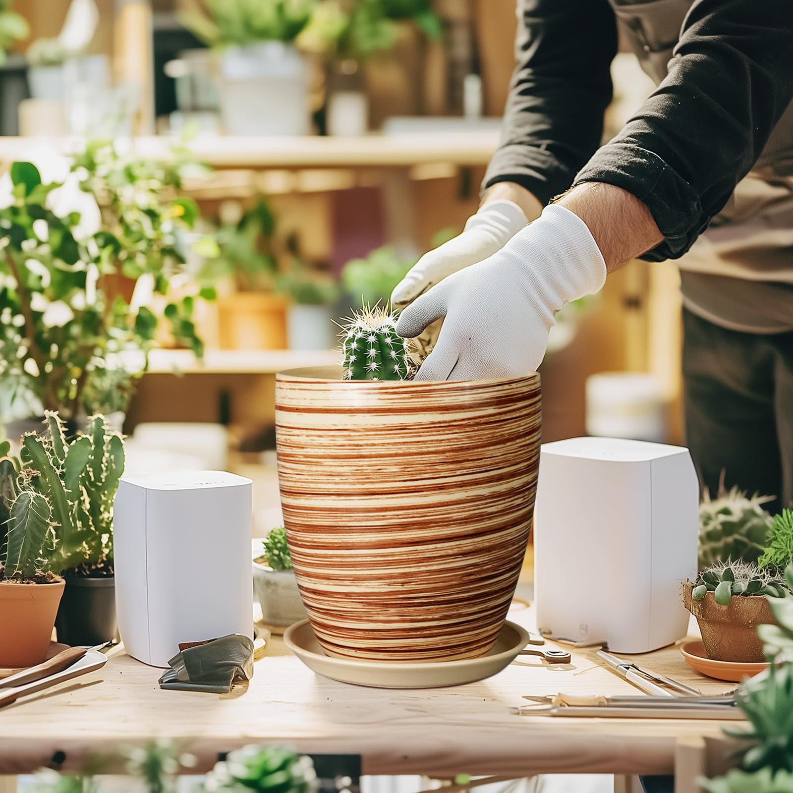 EPFamily removable saucer beneath pot catching runoff to protect surfaces