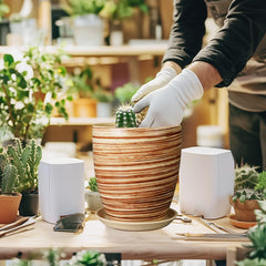 EPFamily removable saucer beneath pot catching runoff to protect surfaces