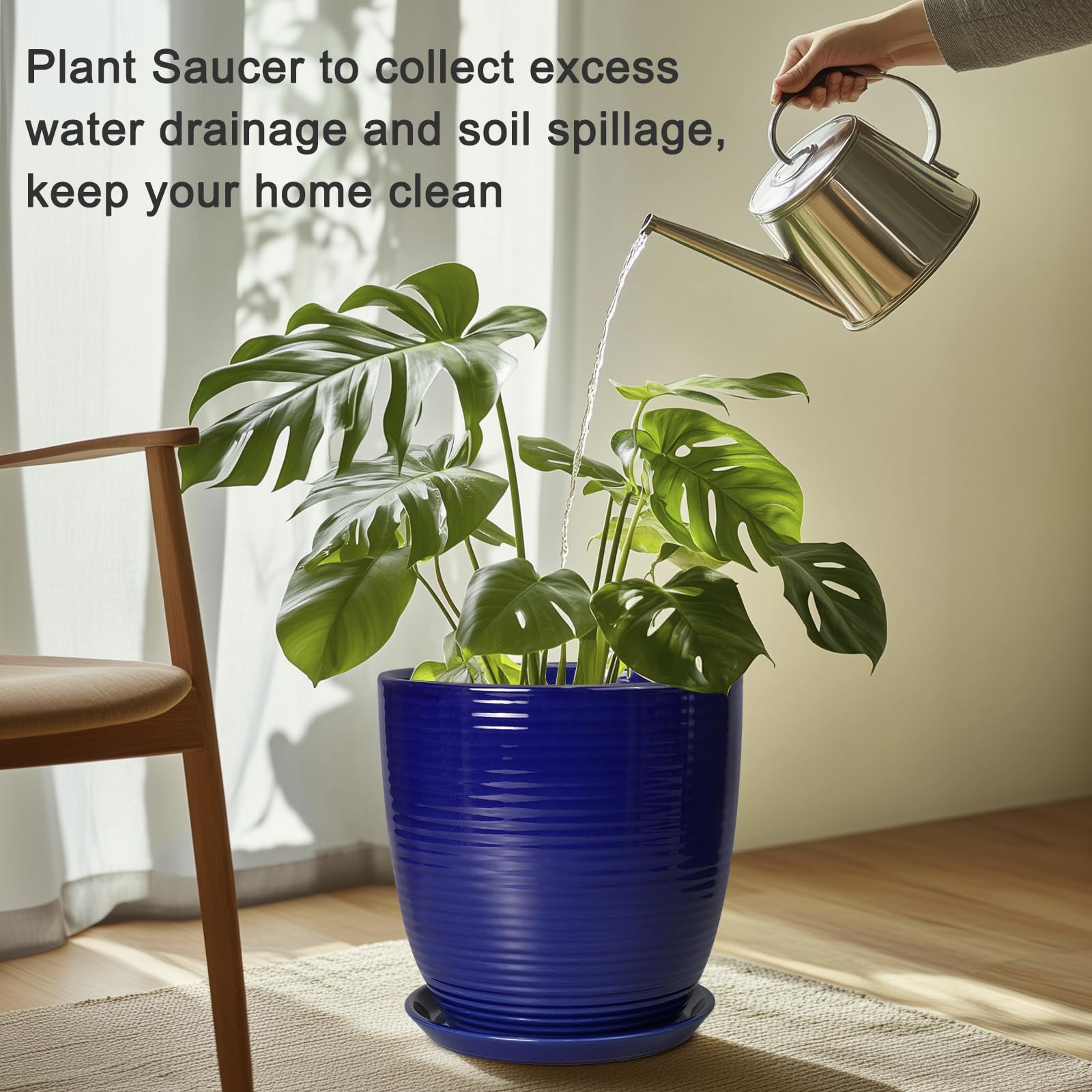 EPFamily saucer with plant in use catching runoff and protecting surface