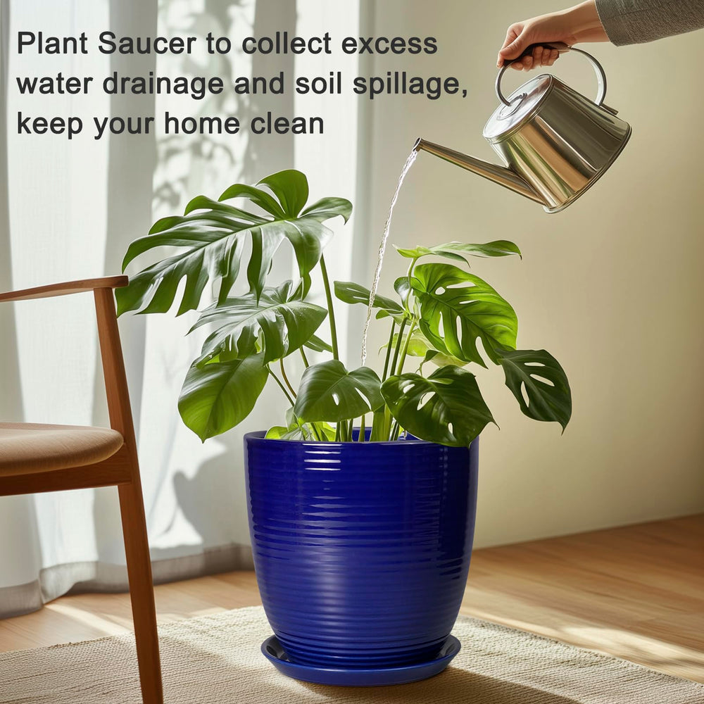 EPFamily saucer with plant in use catching runoff and protecting surface