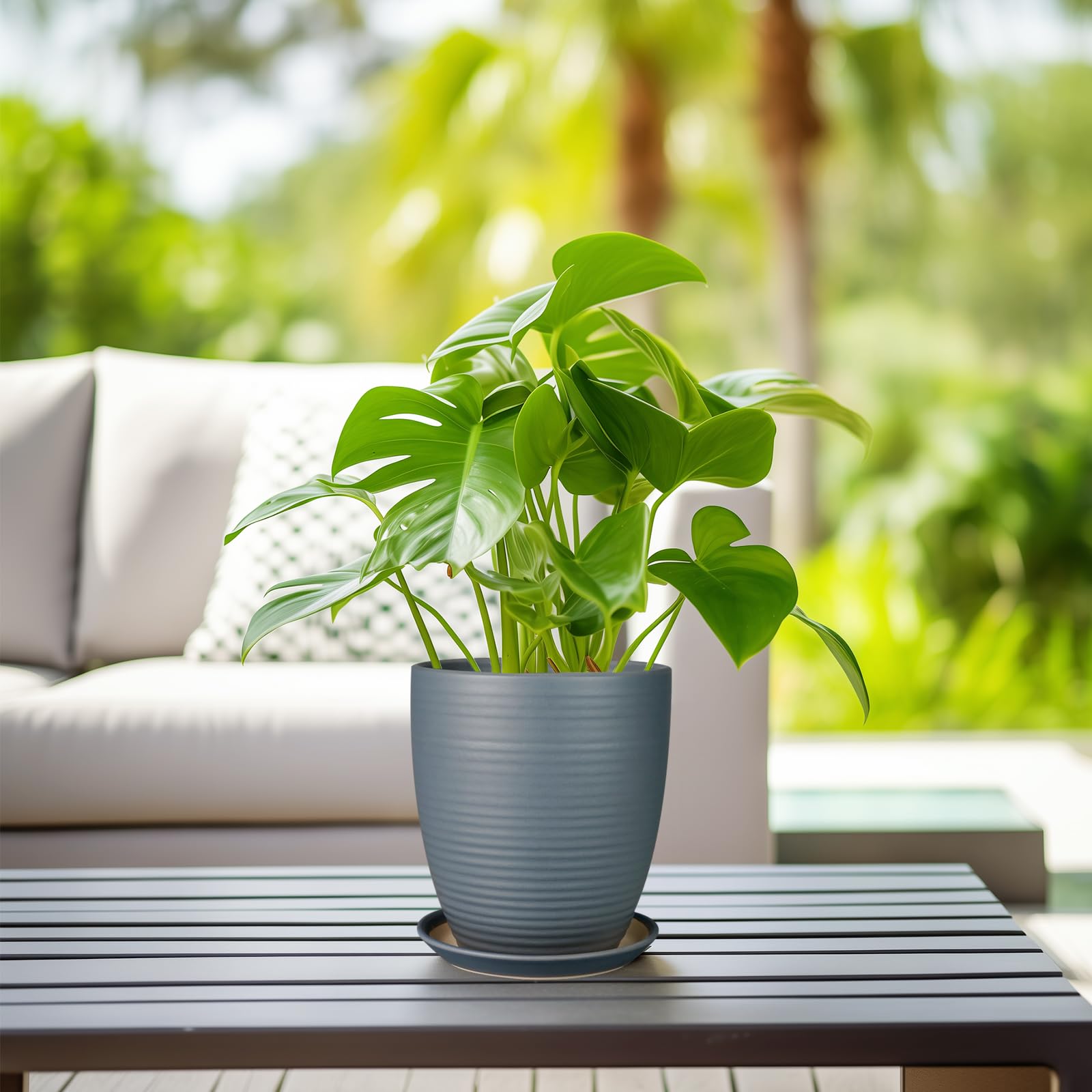 EPFamily planter beside a hand to show 8-inch scale for choosing the right plant size