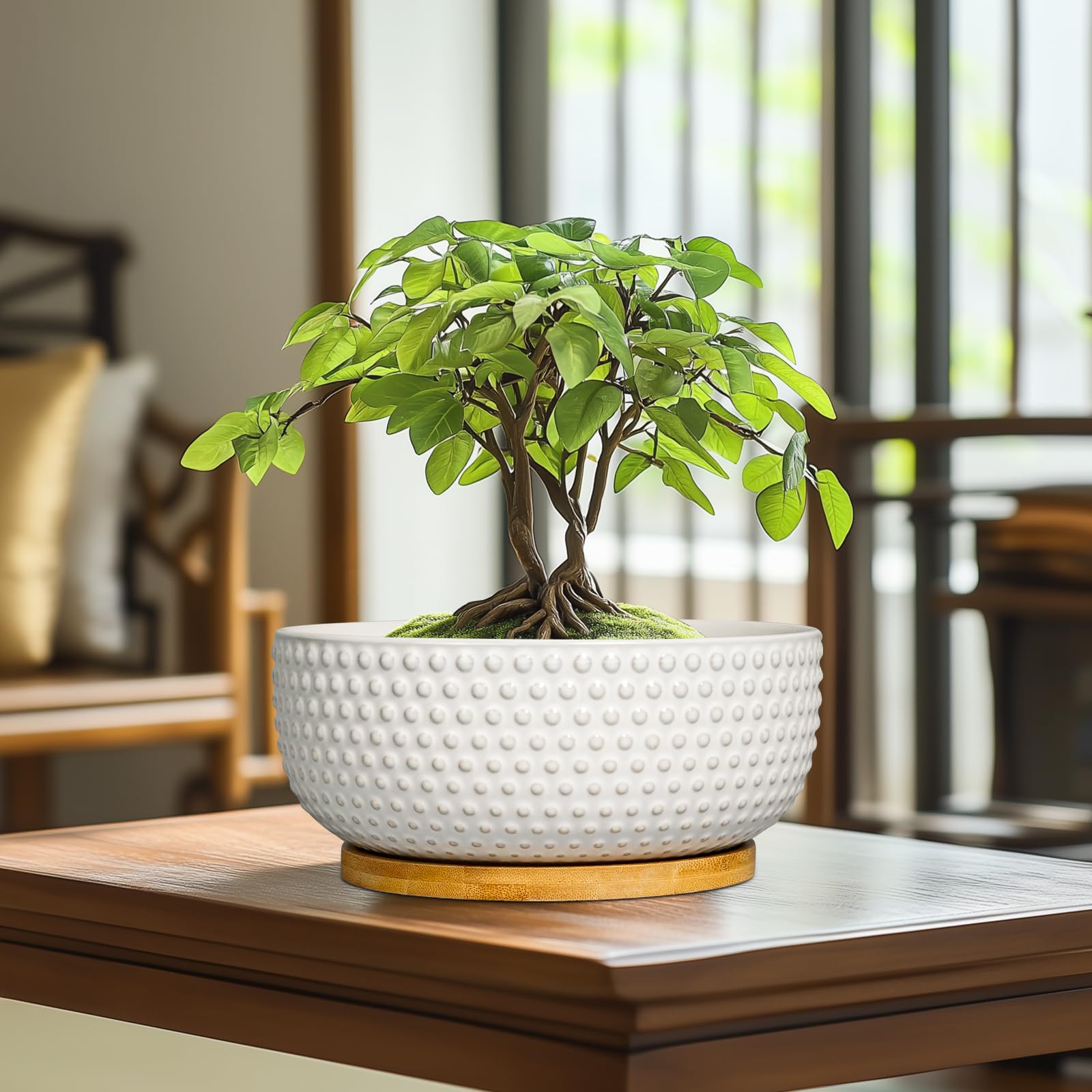 EPFamily close-up of raised dot texture highlighting decorative finish and tactile interest