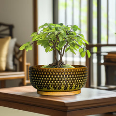 EPFamily close-up of raised-dot texture highlighting tactile decorative appeal