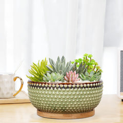 EPFamily top-down with succulents showing proper fit and compact plant arrangement benefit