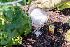 Epsoak being sprinkled in a garden bed demonstrating easier nutrient supplementation