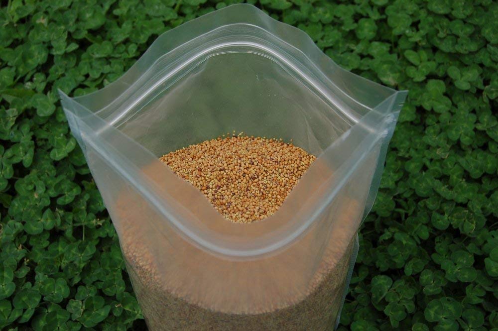 Eretz Tri-Clover in field with blooms attracting pollinators and visual appeal