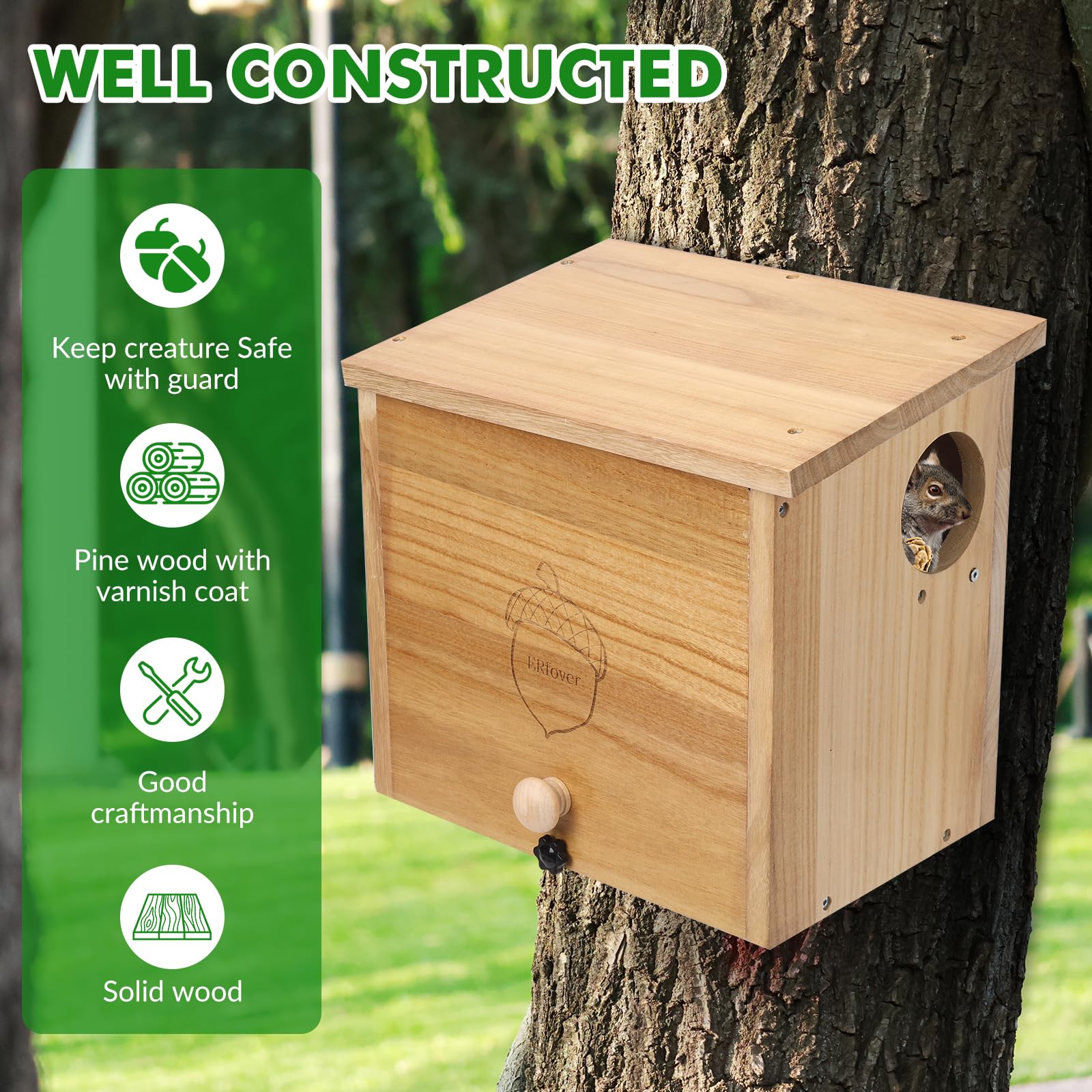 ERfover open interior view highlighting roomy nesting space for squirrel family comfort