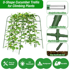 Erinaik assembled trellis installed in raised bed demonstrating stability