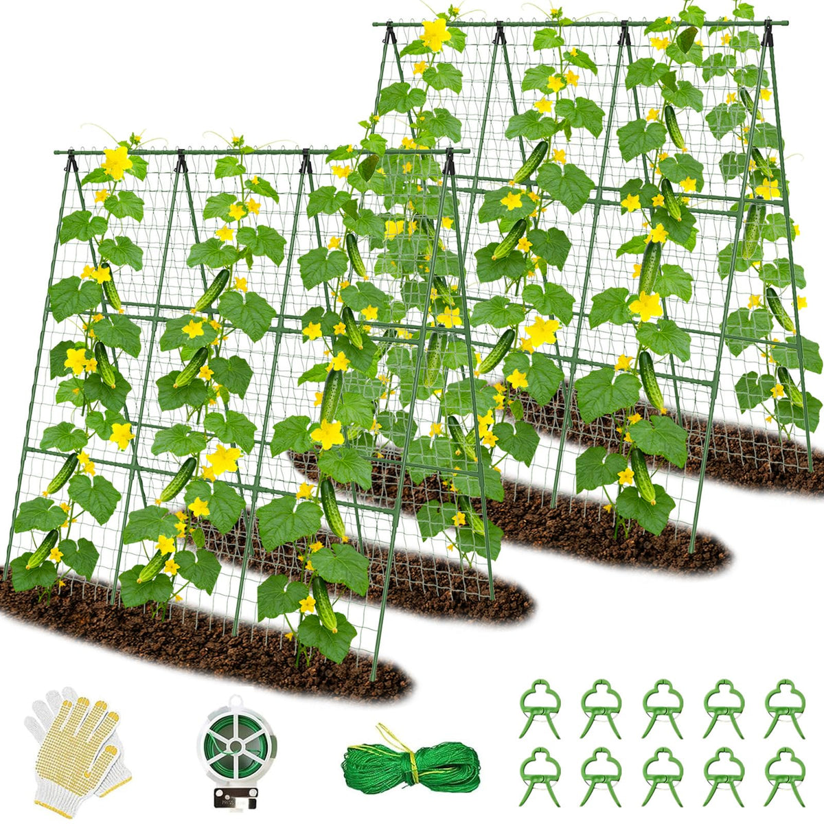 Erinaik front view of A-frame trellis showing full height and structure benefit