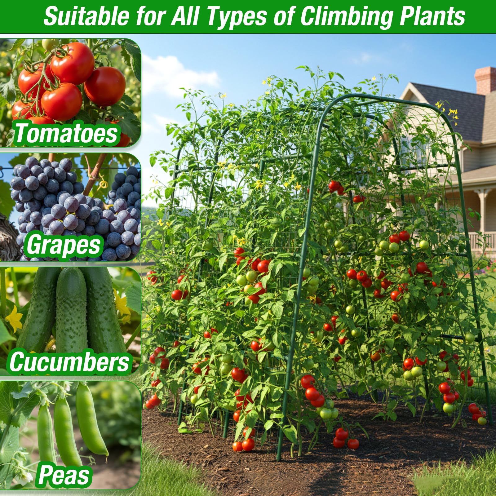 Erinaik trellis beside a shovel illustrating 48 by 64 inch scale