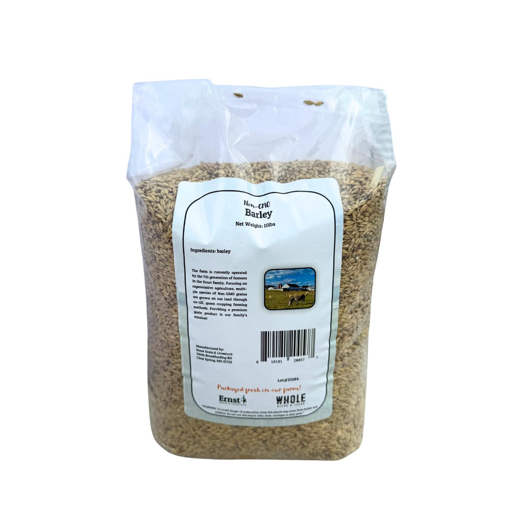 Ernst Grain & Livestock closeup of whole barley kernels highlighting natural texture and quality