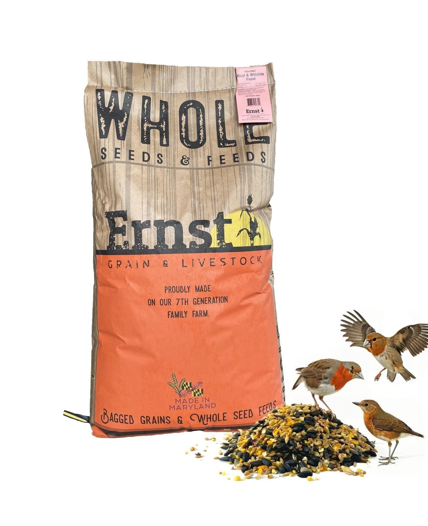 Ernst Grain & Livestock 10 lb bag held for scale showing generous quantity