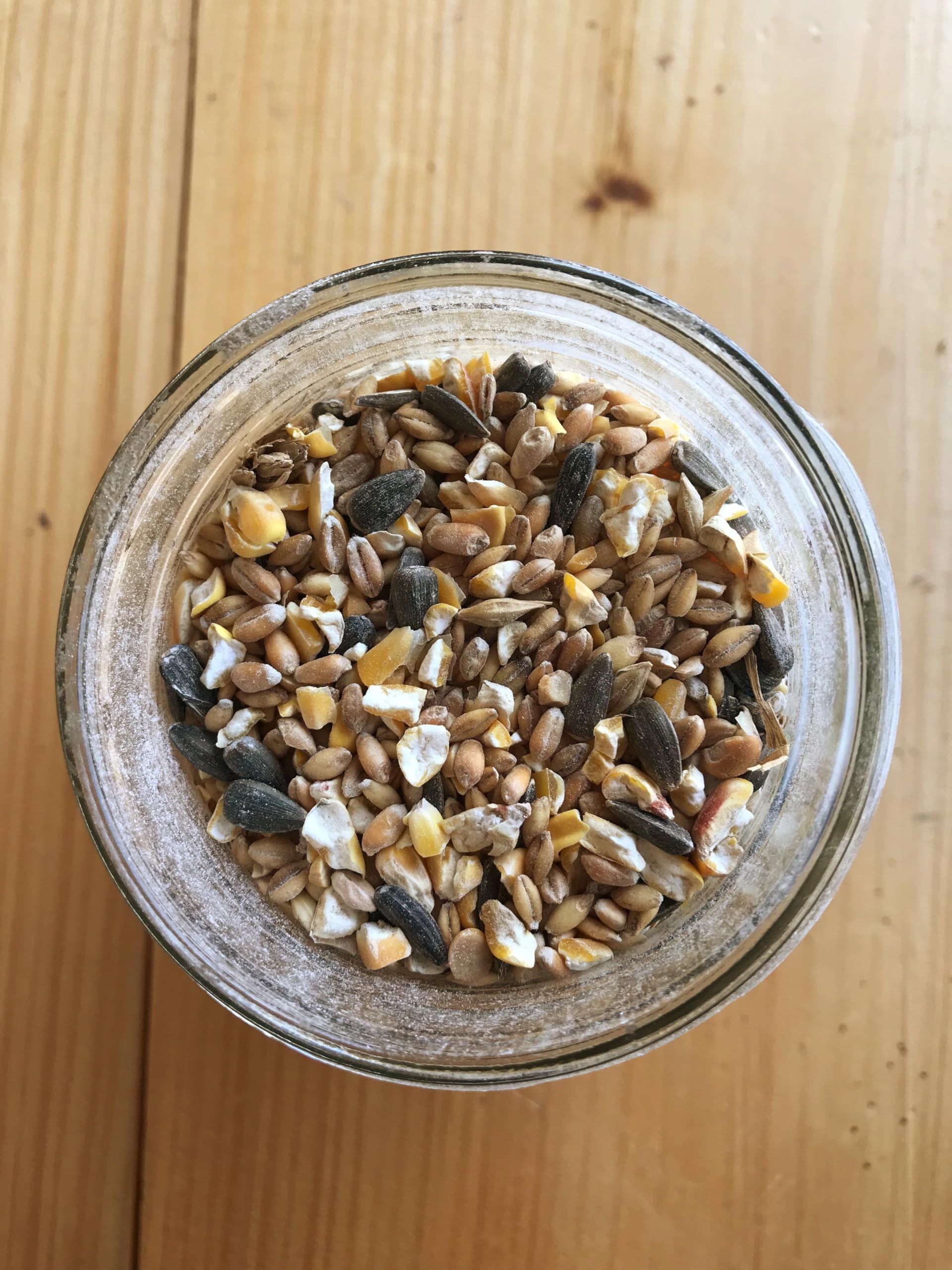 Ernst Grain & Livestock black oil sunflower seeds attracting songbirds