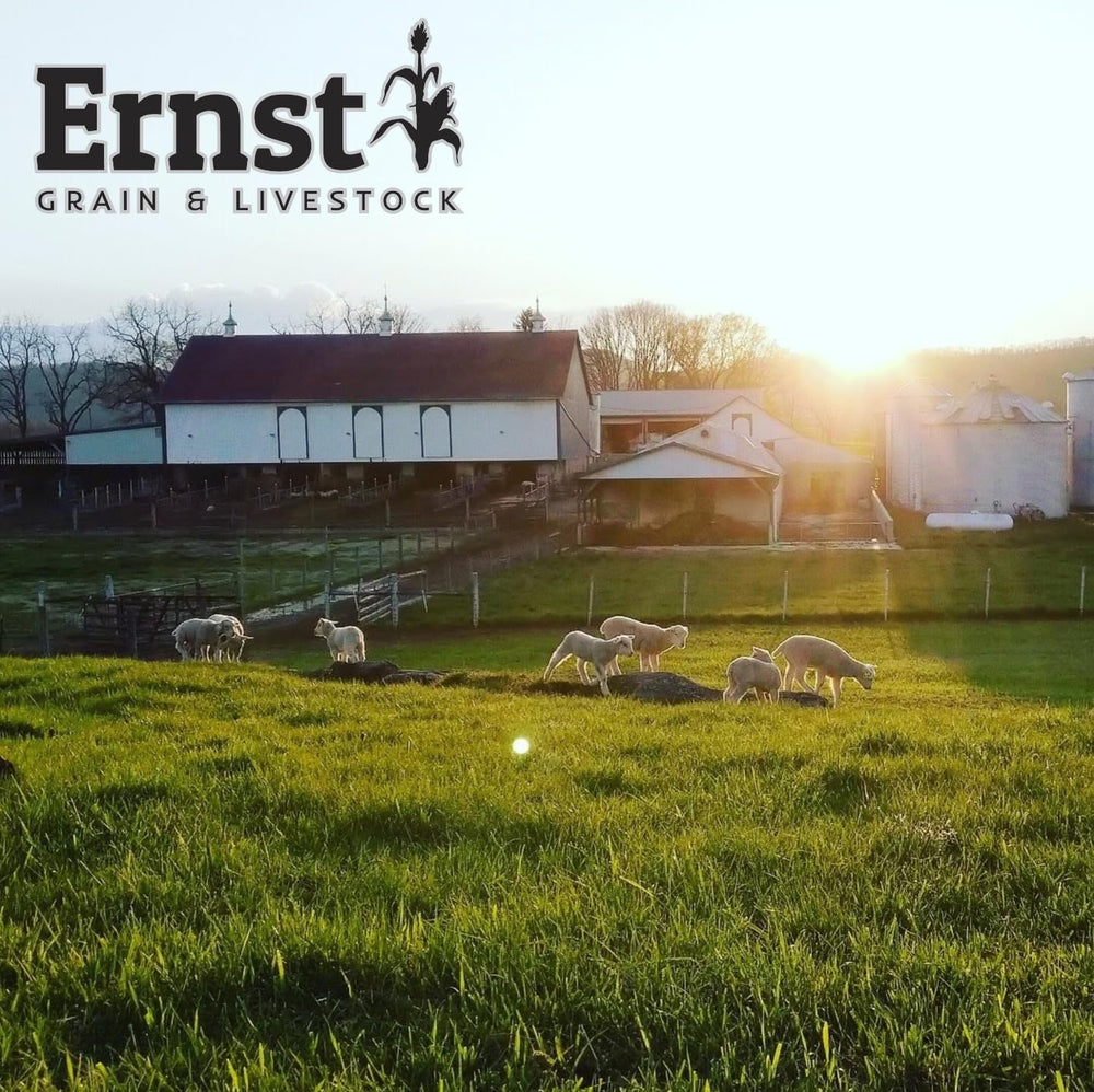 Ernst Grain & Livestock scattered mix on ground attracting deer and turkeys