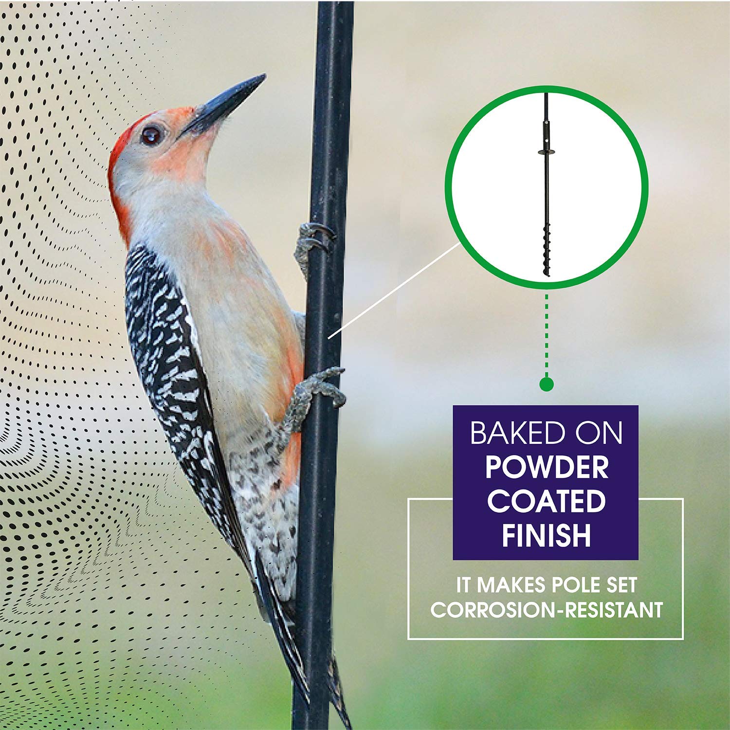 Erva feeder mounted on pole in garden showing organized bird feeding area