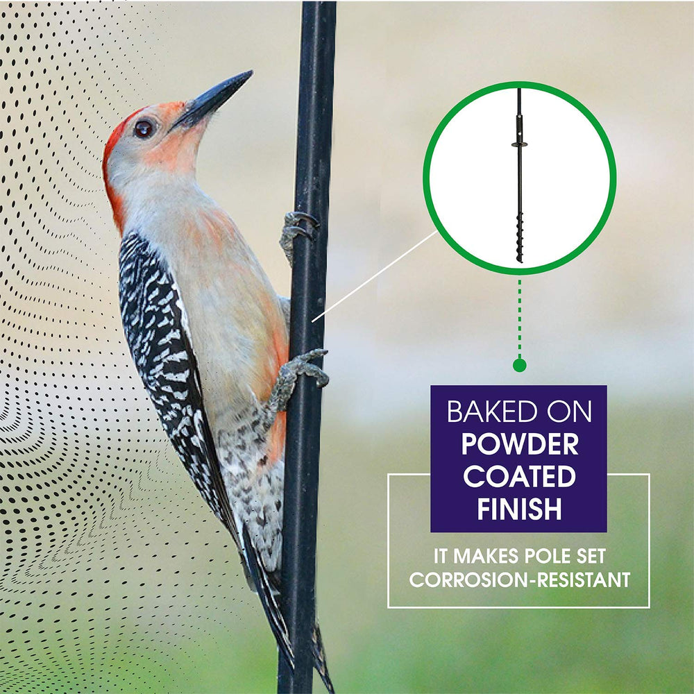 Erva feeder mounted on pole in garden showing organized bird feeding area