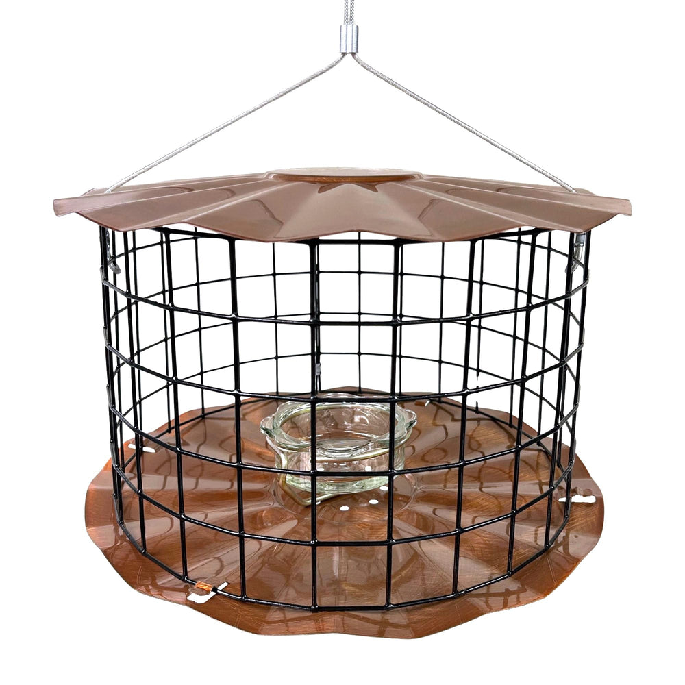 Erva feeder front view with glass cup showing clean mealworm access and theft protection