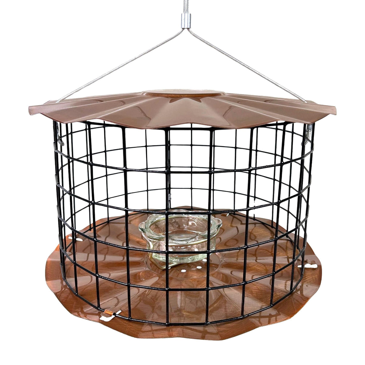 Erva feeder front view with glass cup showing clean mealworm access and theft protection