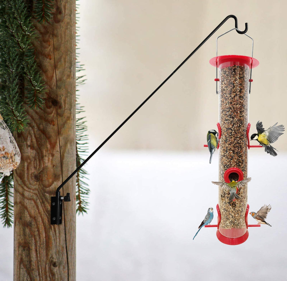 ERYTLLY holding bird feeder for improved backyard viewing