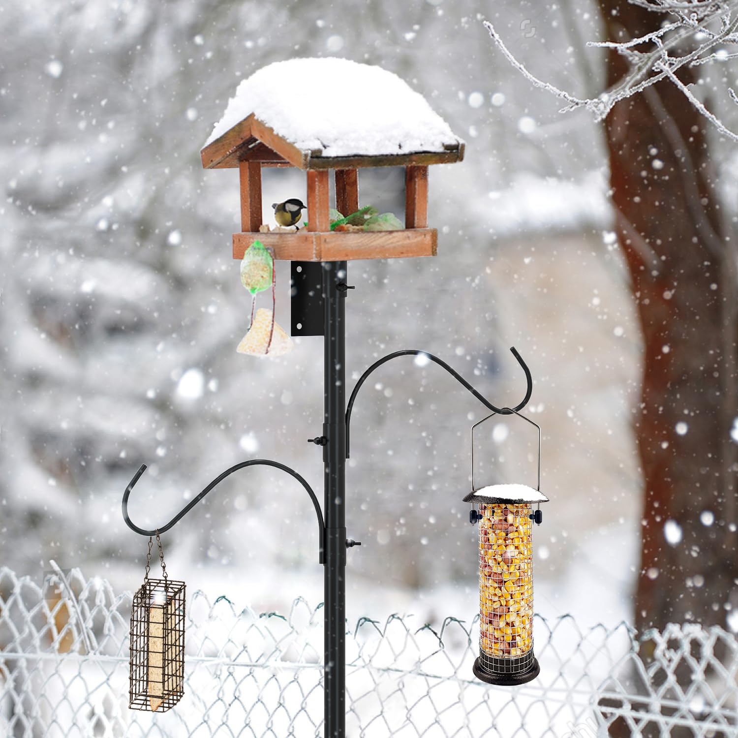 ERYTLLY backyard setup with feeder showing attractive garden enhancement