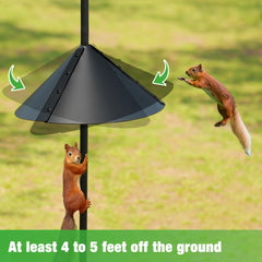 ERYTLLY squirrel baffle detail blocking climbers to protect feeders