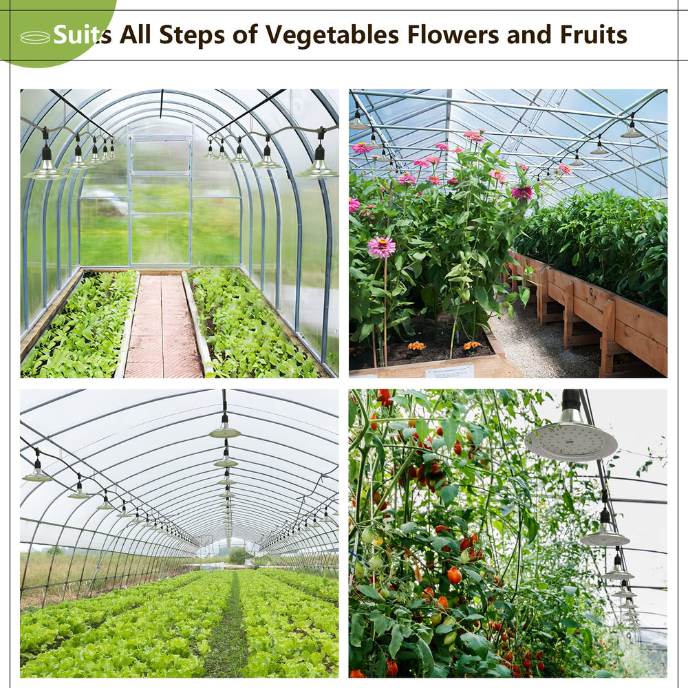Espird bulbs illuminating seedlings to boost early stage development
