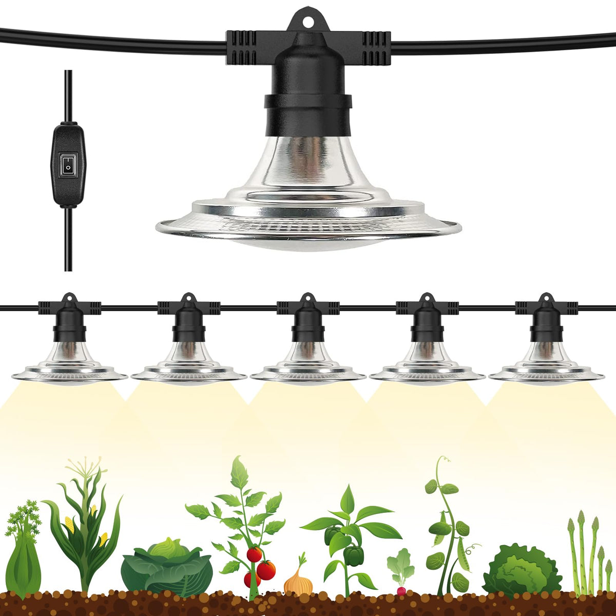 Espird front view of six-light string showing full coverage and reliability