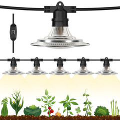 Espird front view of six-light string showing full coverage and reliability