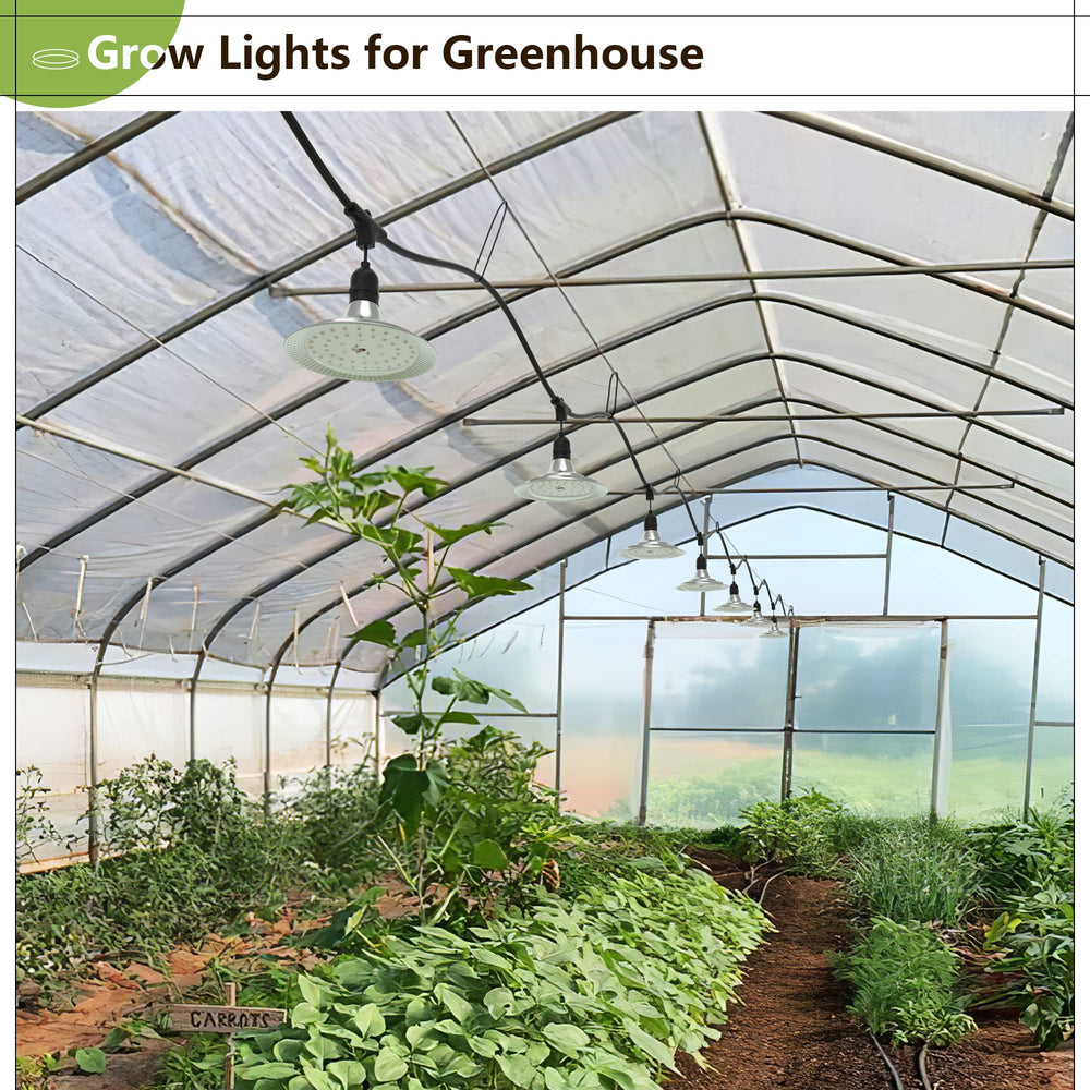 Espird installed over greenhouse bench producing even illumination