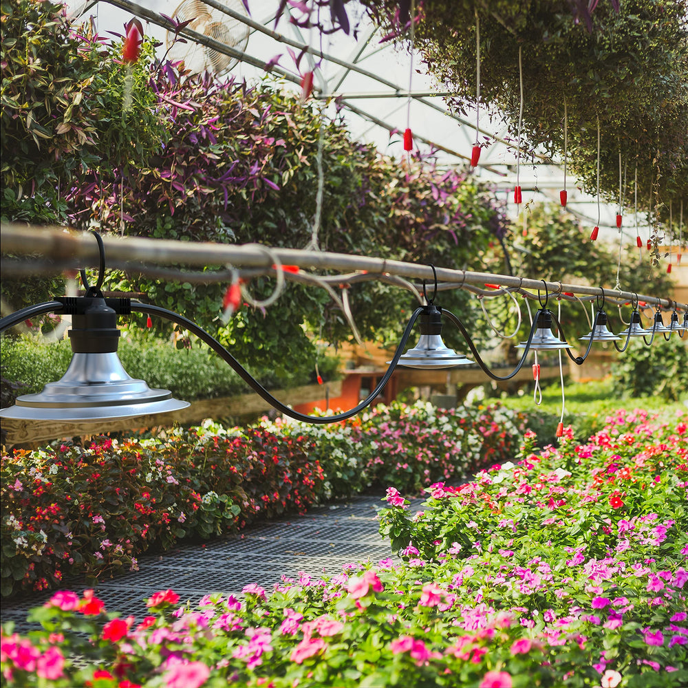 Espird illuminating vegetables at night enhancing flowering and visibility