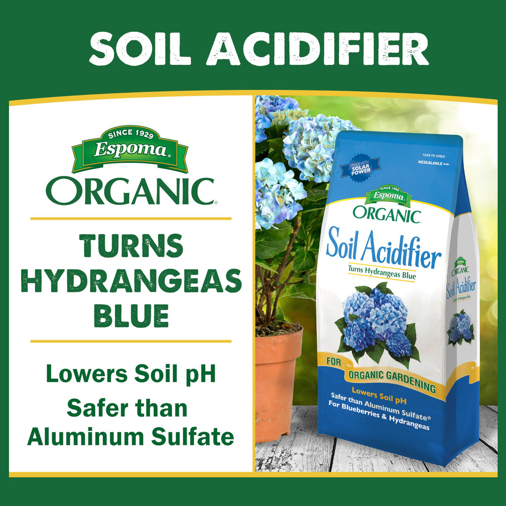Gardener sprinkling Espoma acidifier around shrub roots for healthier soil