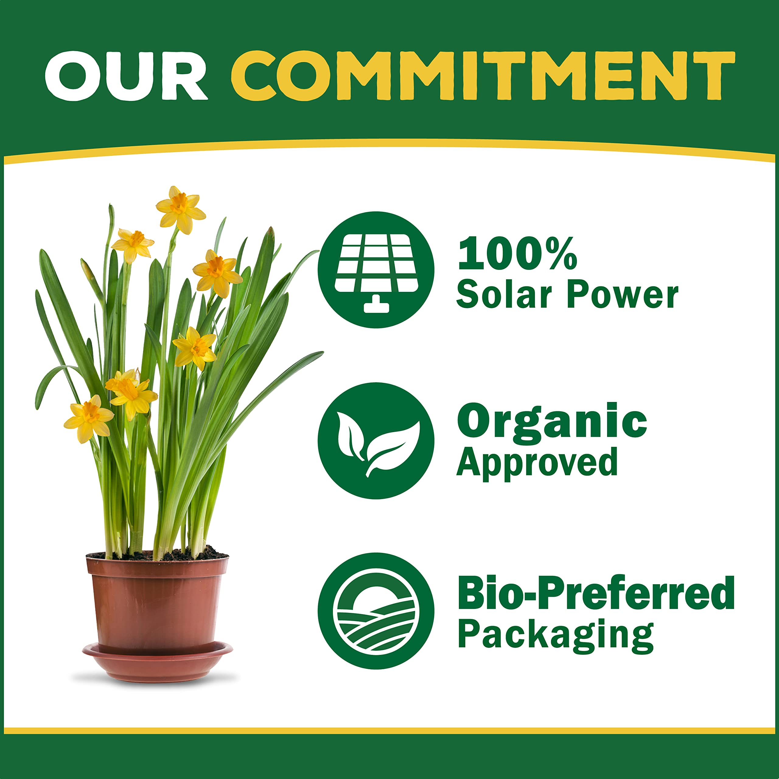 Gardener applying Espoma around plant roots for healthier foliage