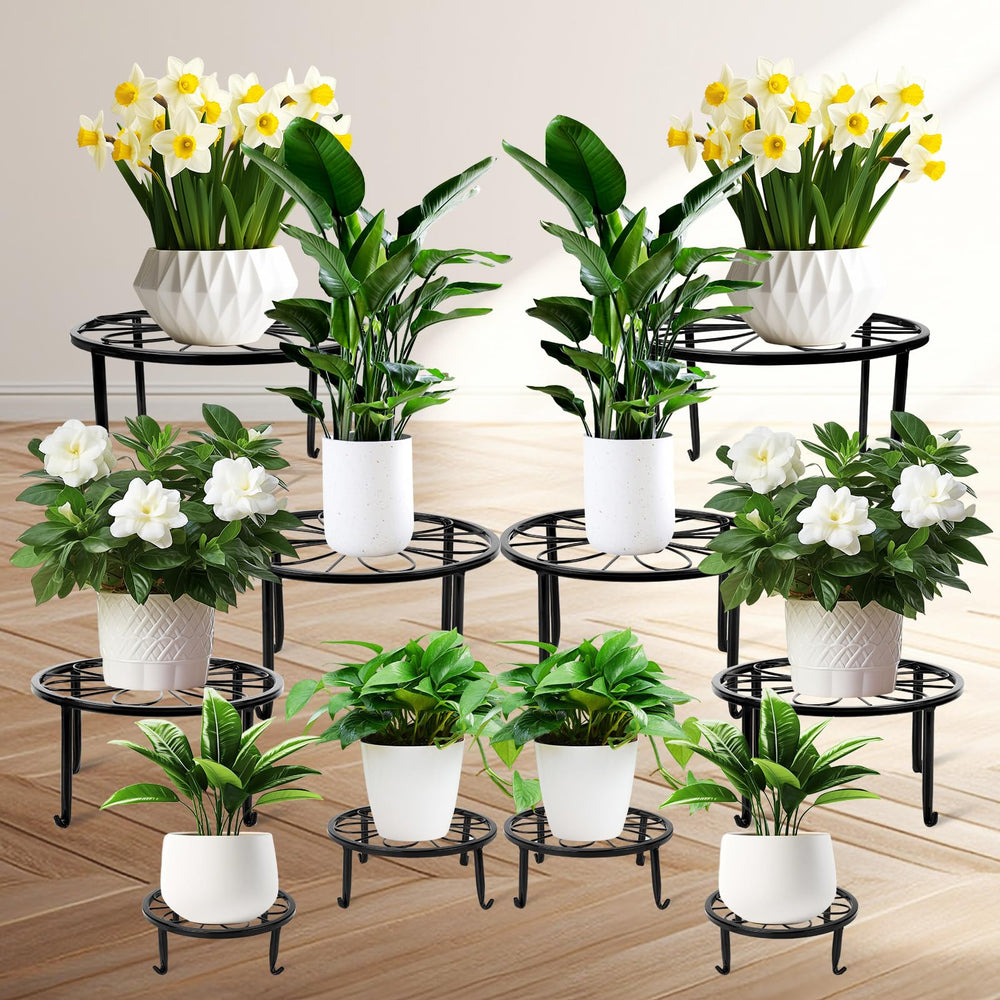 ESRICH front view of assembled stands showing neat plant display and stability