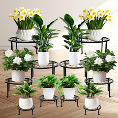 ESRICH front view of assembled stands showing neat plant display and stability