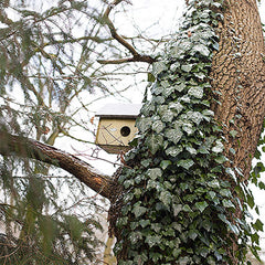 Esschert Design ventilation and drainage holes preventing moisture buildup