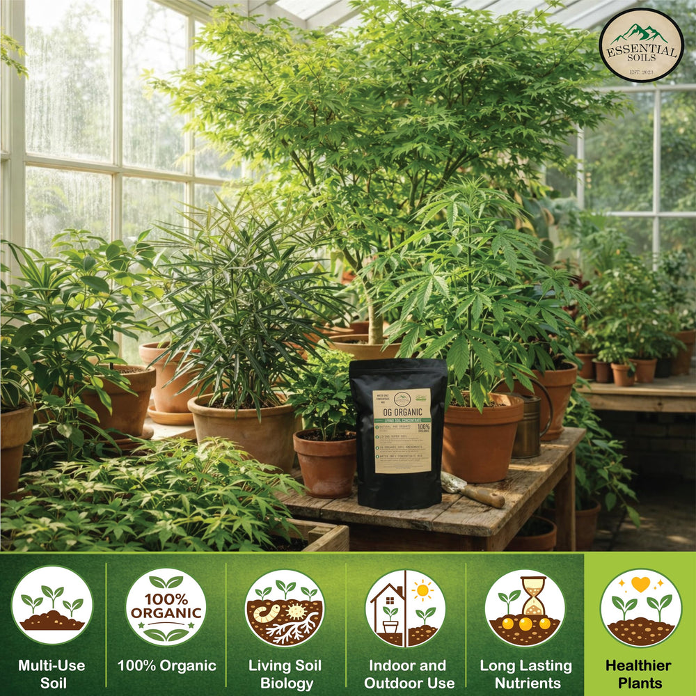 Essential Soils scale and 5lb bag size comparison for purchasing and storage planning