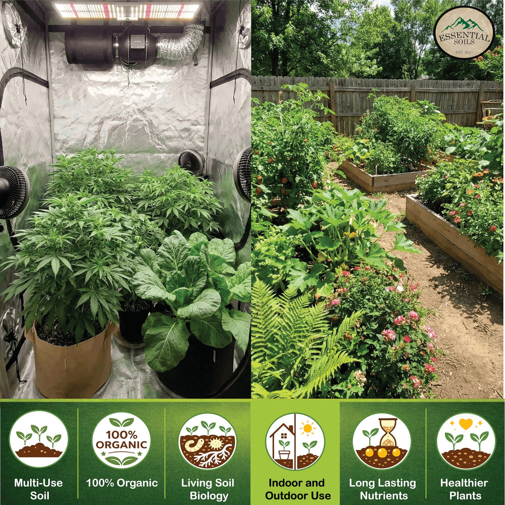 Essential Soils top-dress application on potted plant promoting ongoing nutrition