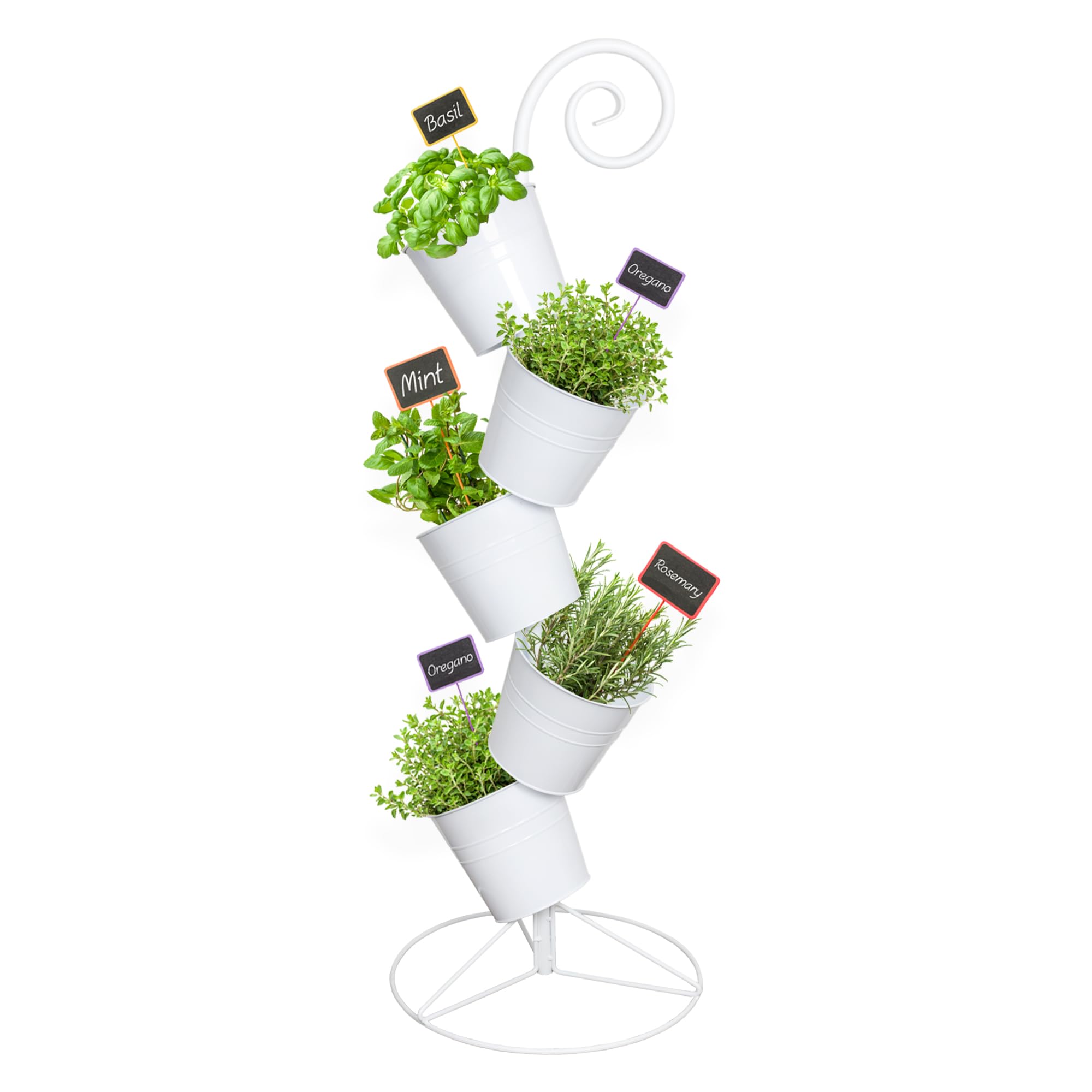 Esterno front view showing white five-tier stack and compact footprint
