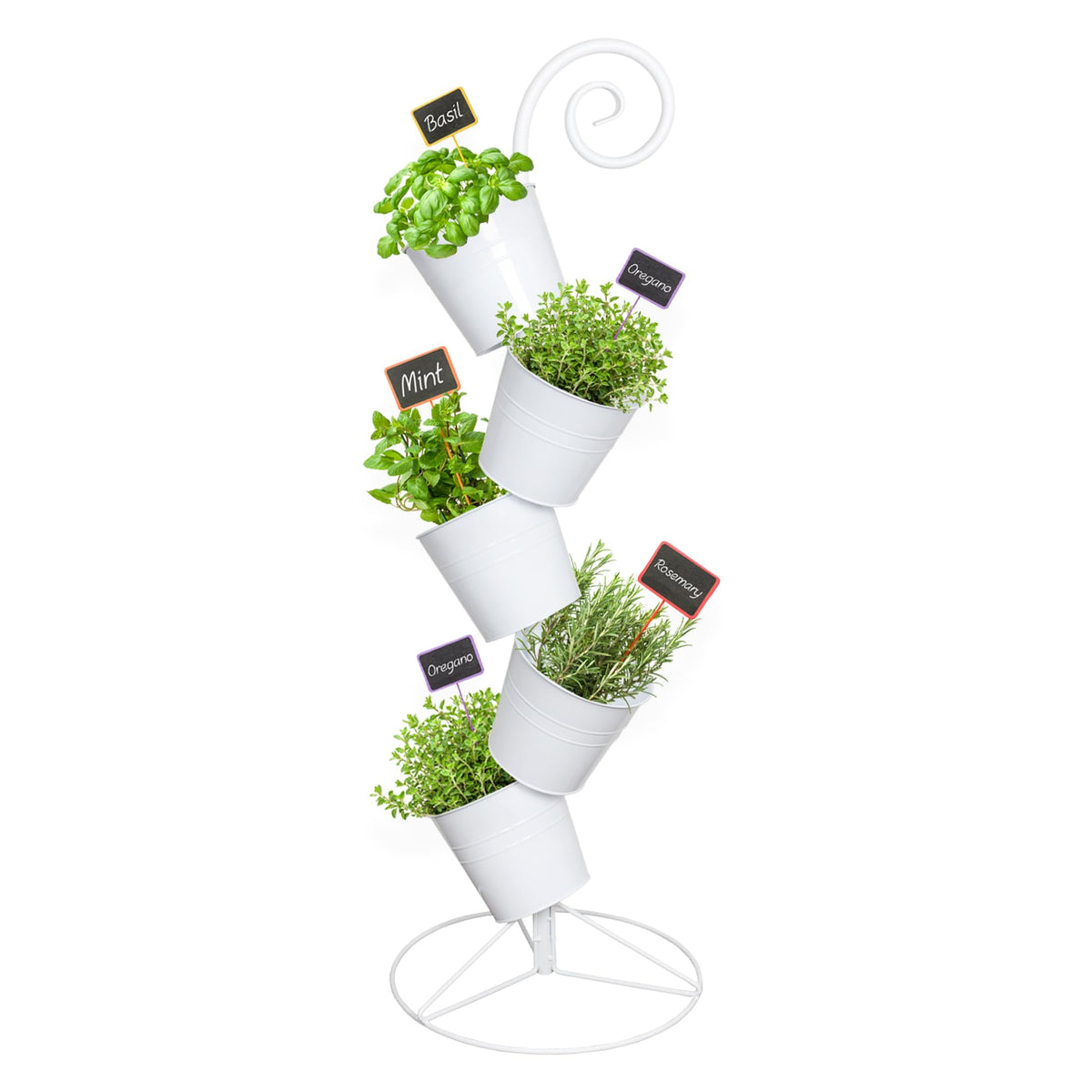 Esterno front view showing white five-tier stack and compact footprint